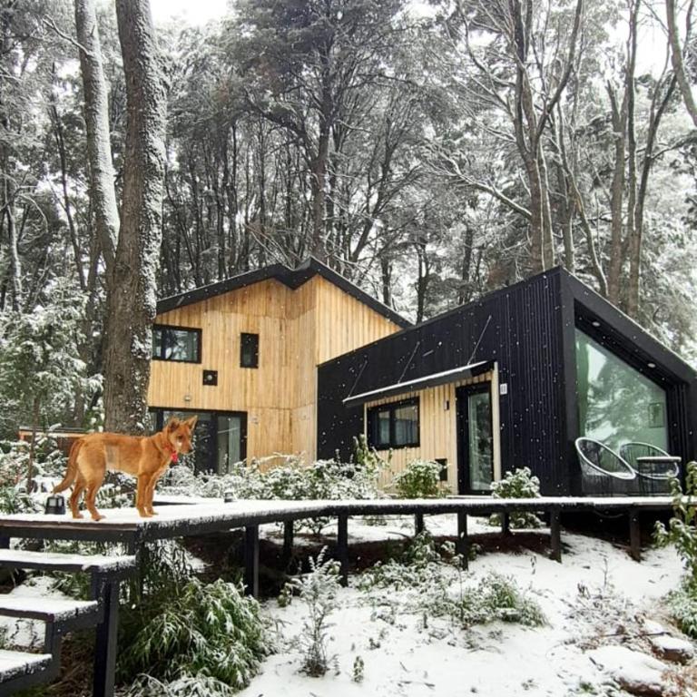 Bosque Cipreses Sur - One-Bedroom House - 1