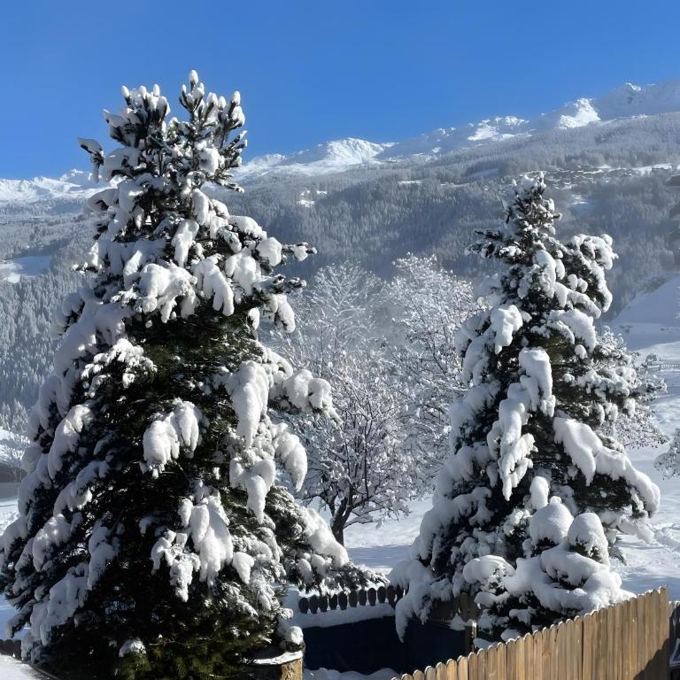 Les Dolomites - Appartement Supérieur avec Balcon - 31