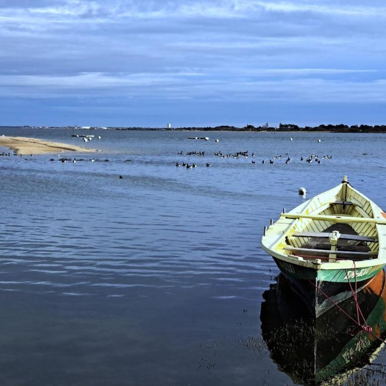 T3 spacieux Arcachon sur jardin, proche du port et de la plage - Two-Bedroom Apartment - 1