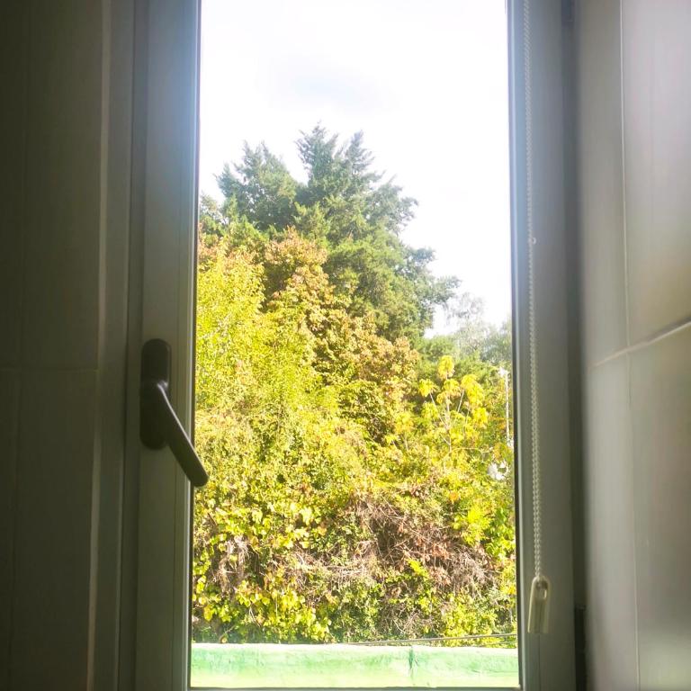 Descansá en Chacras Tranquilidad y luz natural - Apartamento de 1 dormitorio - 9