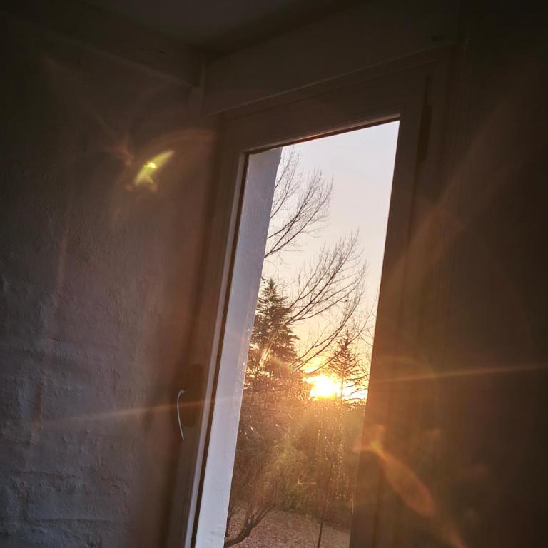 Descansá en Chacras Tranquilidad y luz natural - Apartamento de 1 dormitorio - 23