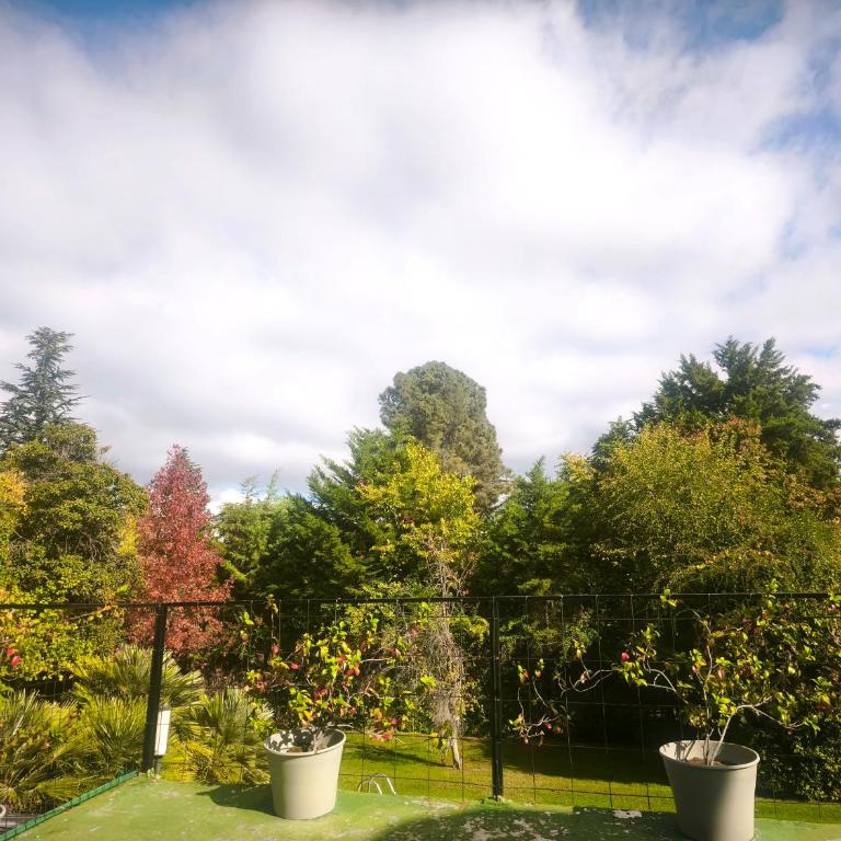 Descansá en Chacras Tranquilidad y luz natural - Apartamento de 1 dormitorio - 35