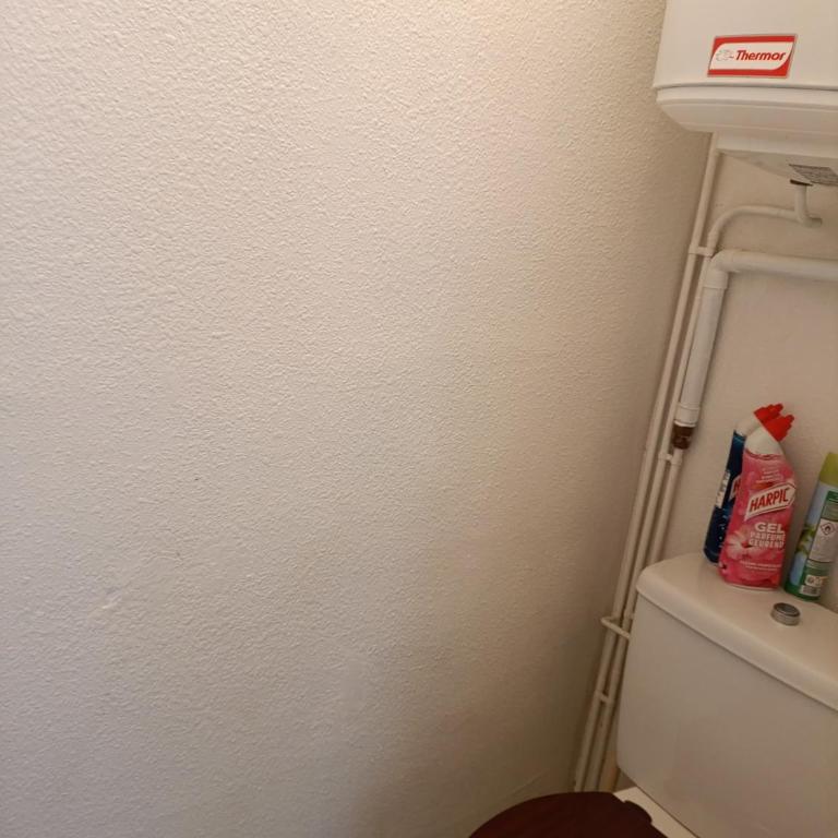 Appart vue sur mer, 2CH 4/6p parking privé - Appartement 2 Chambres - 17