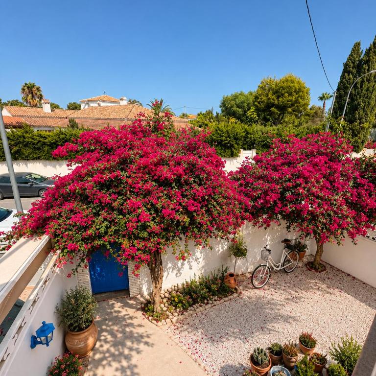 Las Brisas Beach House - Villa mit 2 Schlafzimmern - 25