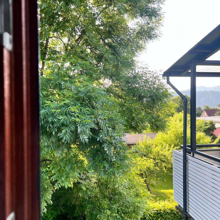 Apartment in zentraler Lage - Nahe Red Bull Ring - Appartement 1 Chambre - 9