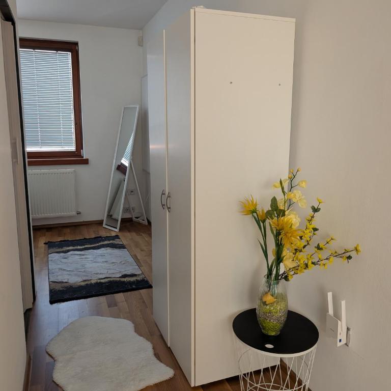 Apartment in zentraler Lage - Nahe Red Bull Ring - Appartement 1 Chambre - 13