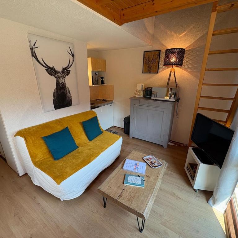 Studio lumineux 27m2 Les Fontenilles - Appartement 1 Chambre - 11