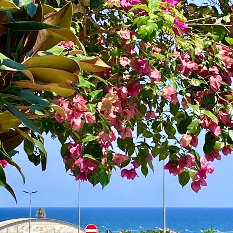 Brezza di Puglia Appartamento - Appartement 1 Chambre - 2