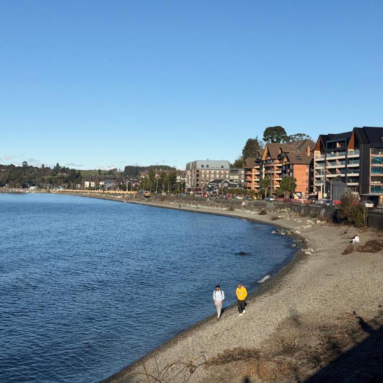 Departamento Puerto Varas Vistalago - Two-Bedroom Apartment - 9
