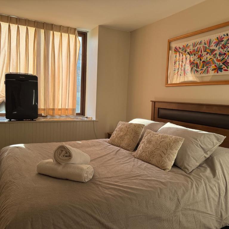 Departamento Puerto Varas Vistalago - Two-Bedroom Apartment - 4