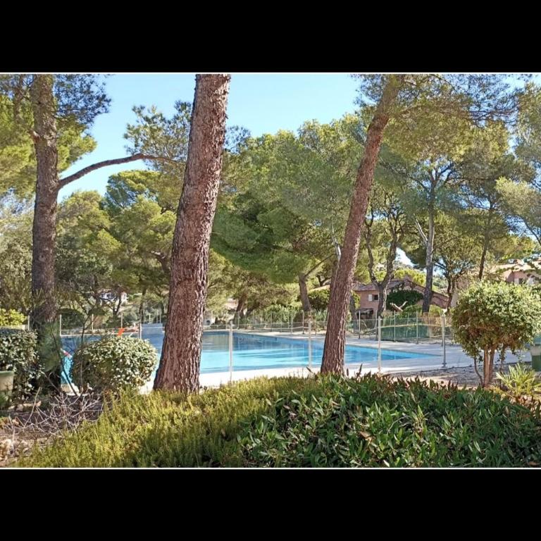 Paradis bleu - Appartement 1 Chambre - 22