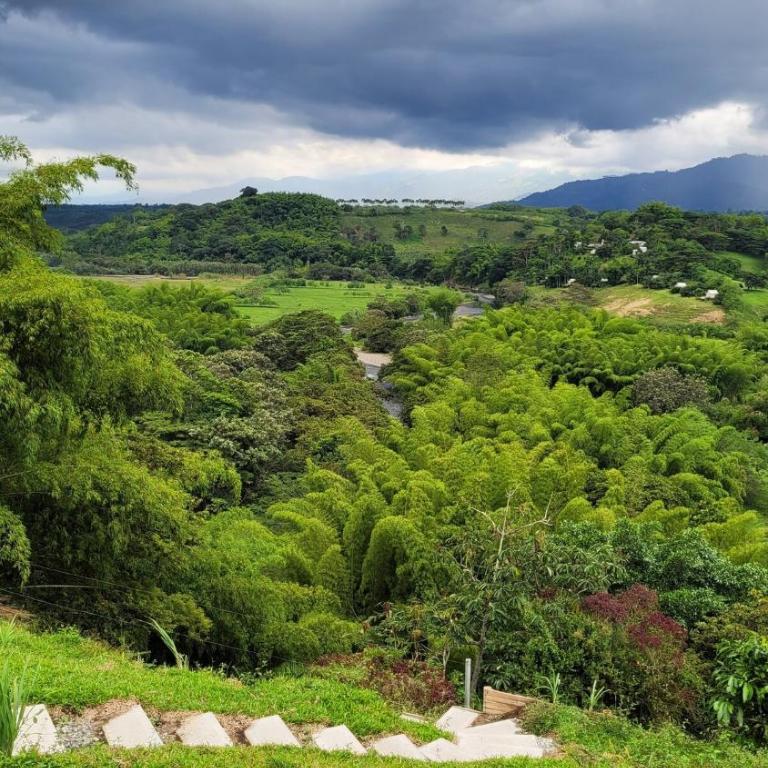Infinity pool, mountain views and horses - Casa de 4 dormitorios - 3