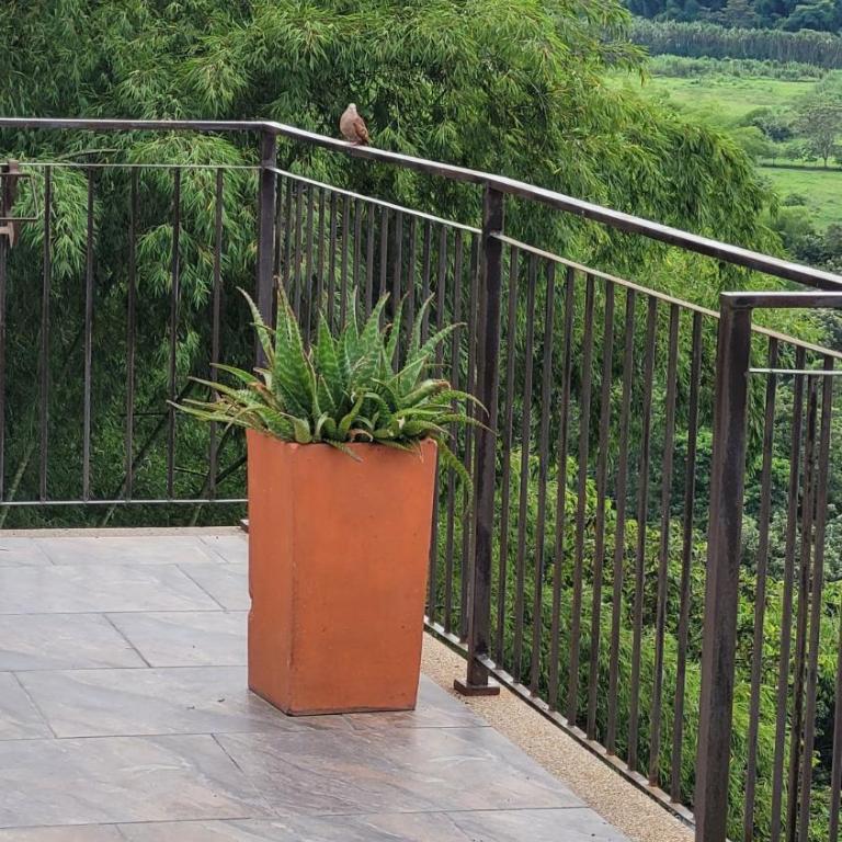 Infinity pool, mountain views and horses - Casa de 4 dormitorios - 20