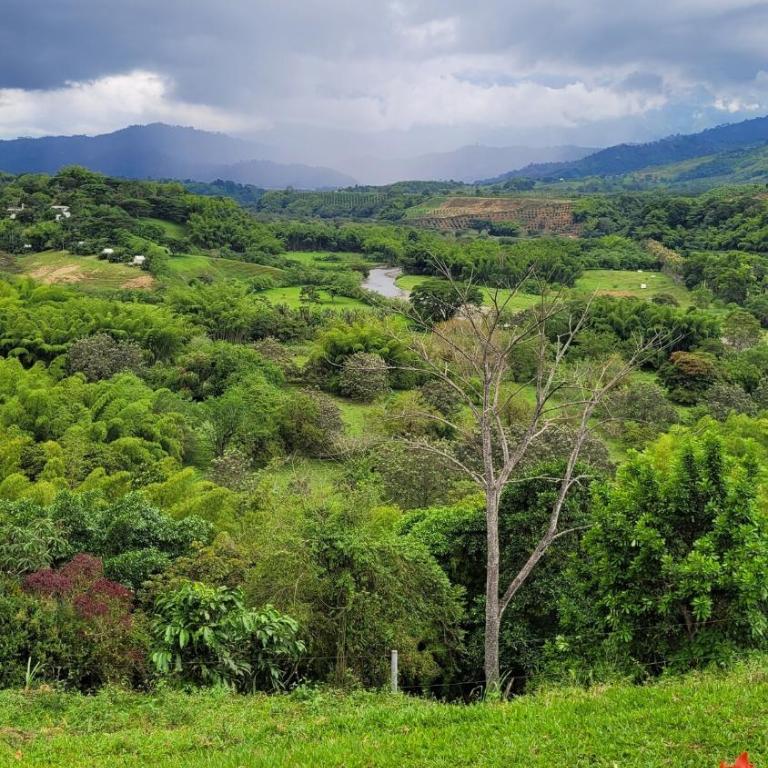 Infinity pool, mountain views and horses - Casa de 4 dormitorios - 25