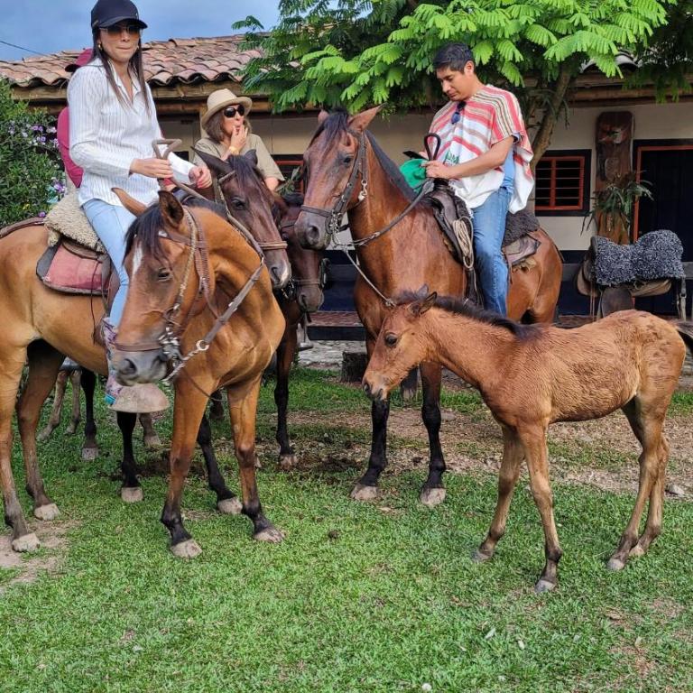 Infinity pool, mountain views and horses - Casa de 4 dormitorios - 57