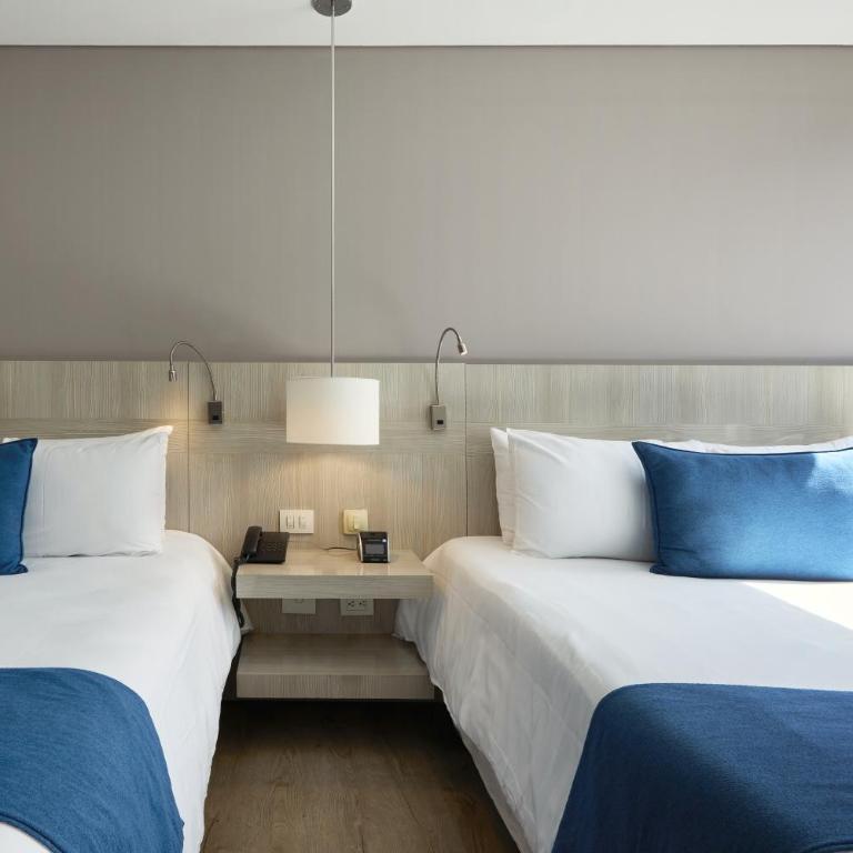 Hotel bh Bicentenario - Standard Twin Room - 1