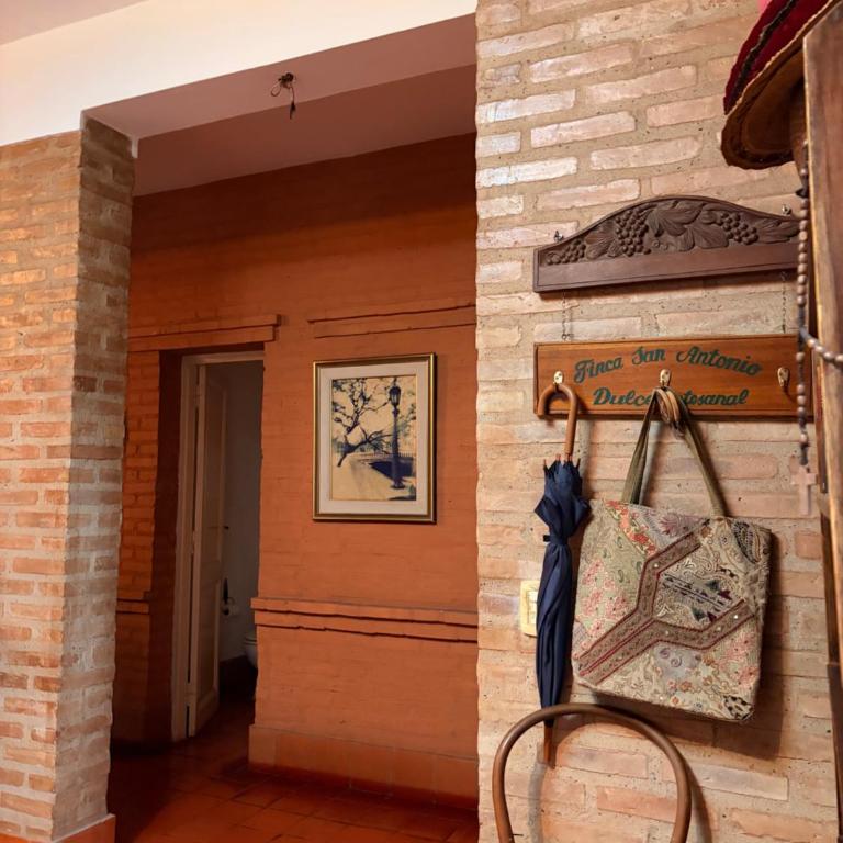 Santa Ana casa colonial con amplio jardín - Casa de 2 dormitorios - 9