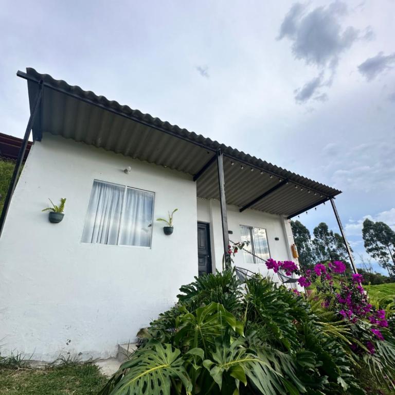 Cabaña privada cerca a termales San Vicente - Chalet de 1 dormitorio - 7