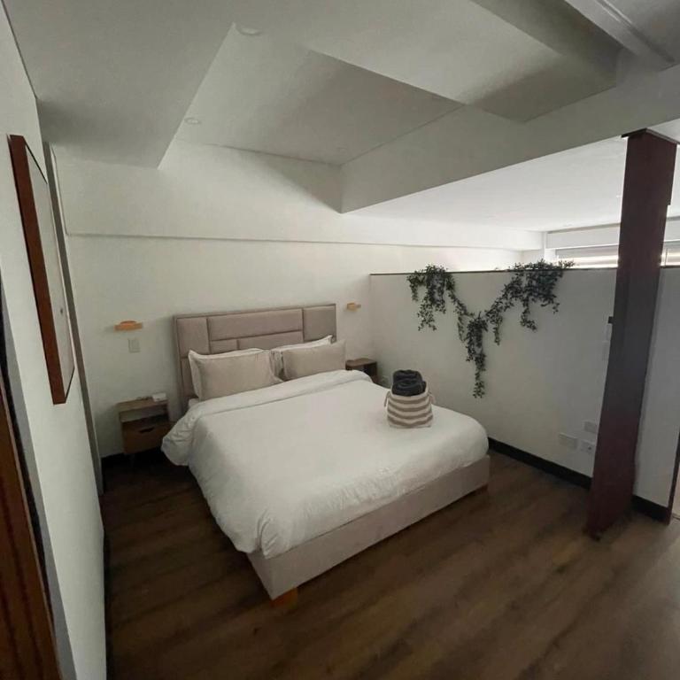 Entire 2 bedroom apartment in El Virrey - Apartamento de 2 dormitorios - 10