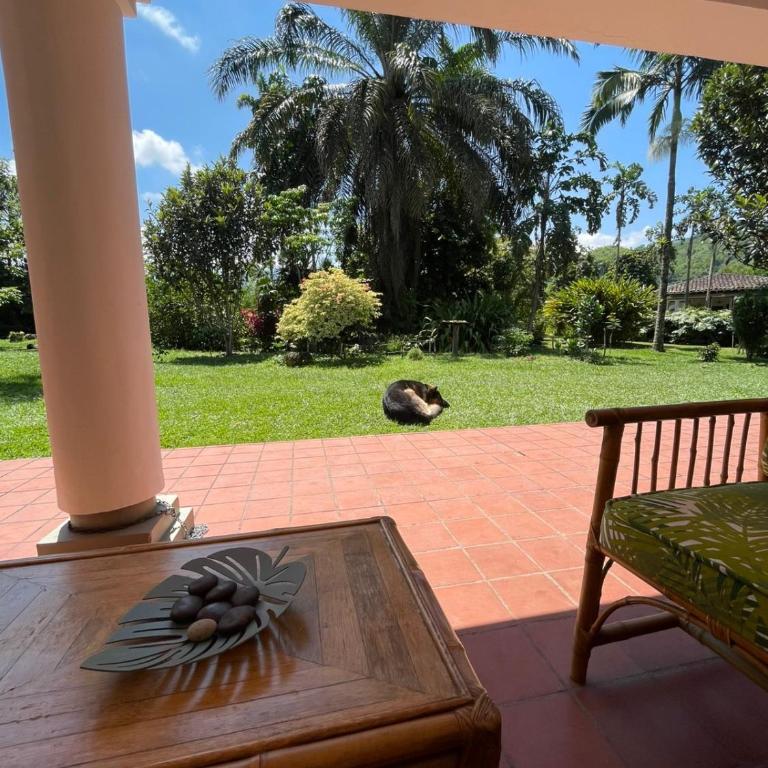 Beautiful house in the coffee region - Villa - 29