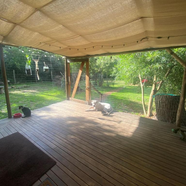 Cozy cottage in Ocean Park - Casa con 1 dormitorio - 8