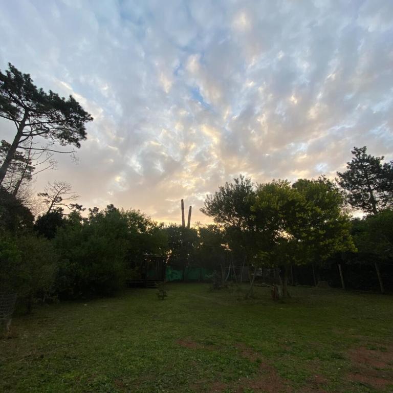 Cozy cottage in Ocean Park - Casa con 1 dormitorio - 14