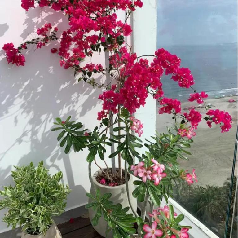 Penthouse luxury cartagena con vista al mar, piscina y capacidad para 12 personas - Four-Bedroom Platinum Apartment - 66