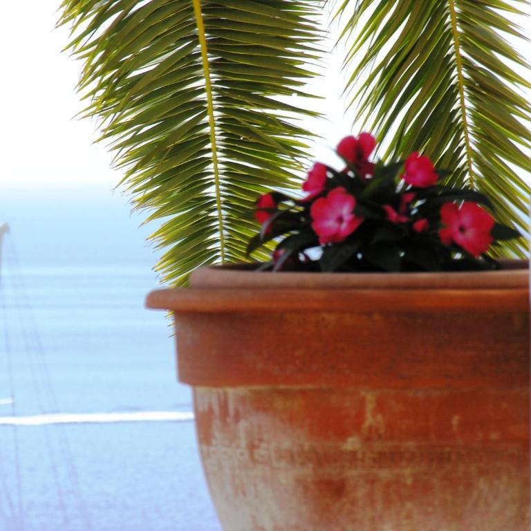 Hôtel La Flore - Chambre Double avec Terrasse - Vue sur Mer - 7