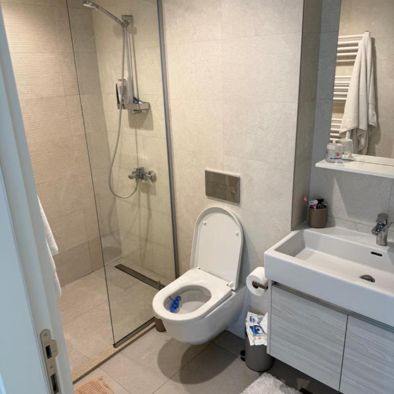 Aria Lux Residence Belgrade Waterfront - Apartman sa 1 Spavaćom Sobom - 6