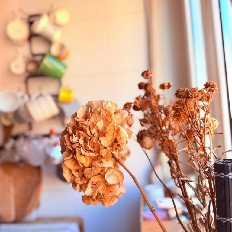 Bright house in the heart of Rome - One-Bedroom Apartment - 48