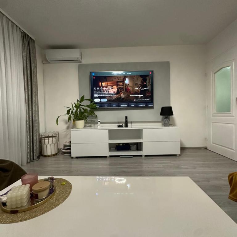 Apartman Višnjik - Appartement 1 Chambre - 3