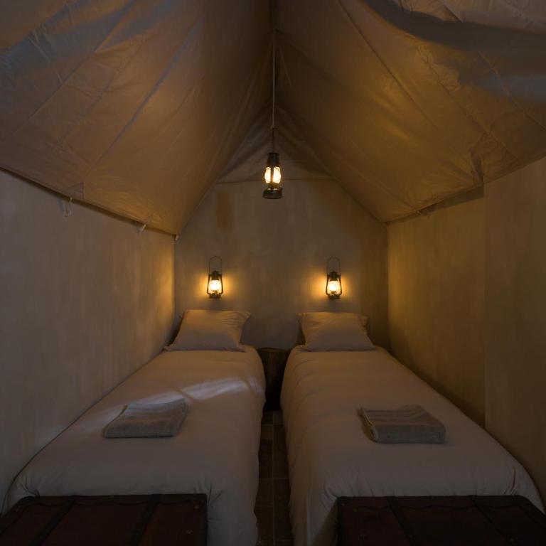 Les Vestiges Temple et Jungle Expedition - Appartement 2 Chambres - 17