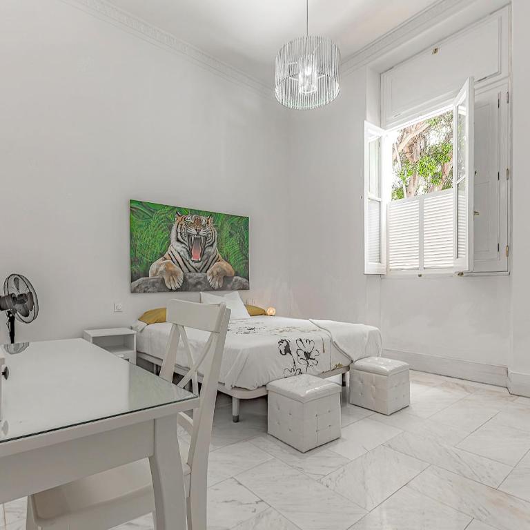 Tenerifeopenhome historic center - Apartamento de 2 dormitorios - 23