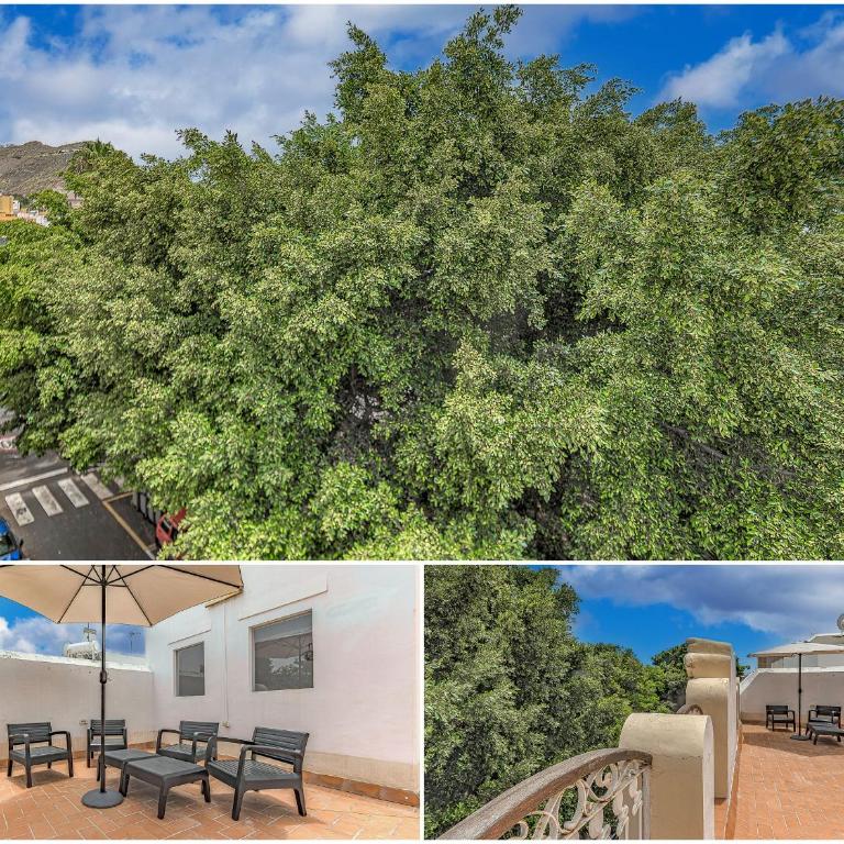 Tenerifeopenhome historic center - Apartamento de 2 dormitorios - 25