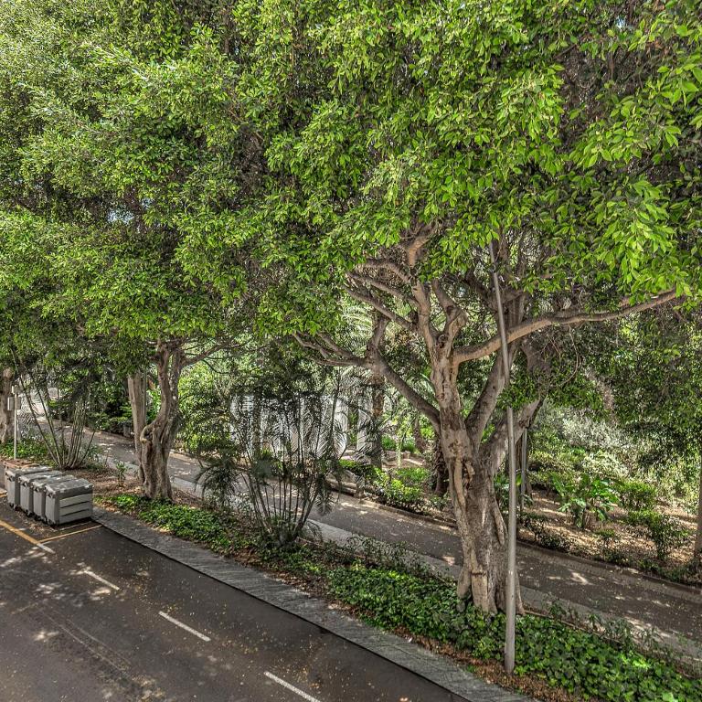 Tenerifeopenhome historic center - Apartamento de 2 dormitorios - 49
