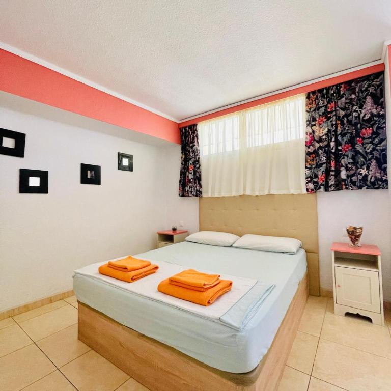 wonderful apartment first line of the beach - Appartement 1 Chambre - Vue sur Océan - 19
