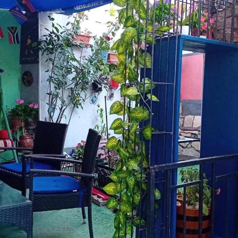 Apartment Dino - Garden - Appartement 1 Chambre - 33