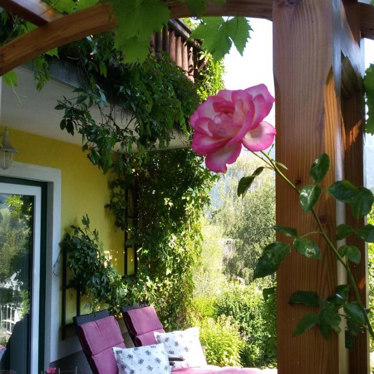 Haus Lerchenreith - Apartment mit Terrasse - 6