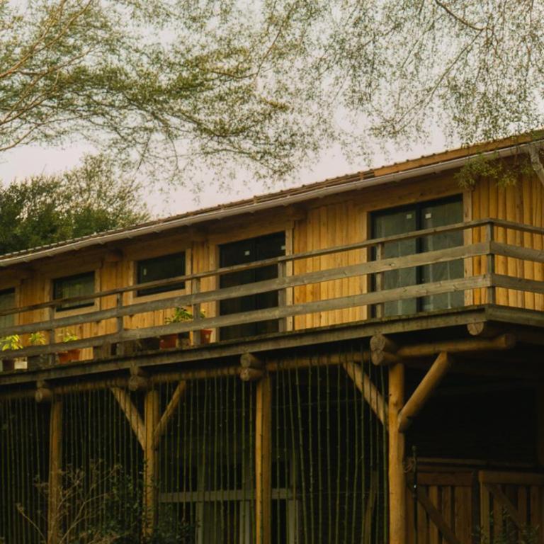 Radägast - Apartamento de 2 dormitorios - 39