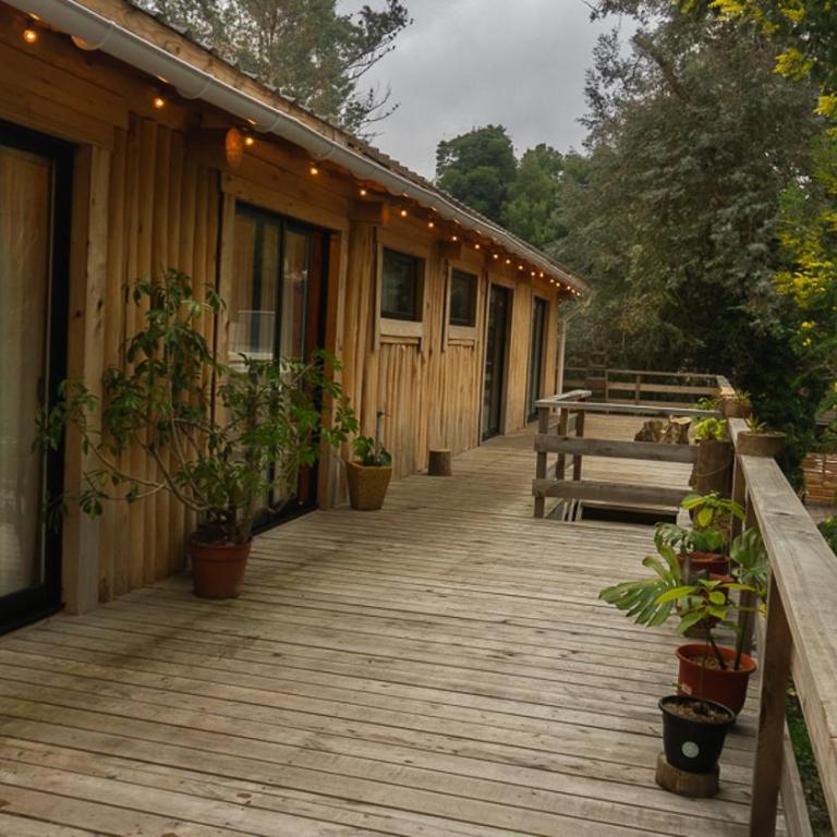 Radägast - Apartamento de 2 dormitorios - 41
