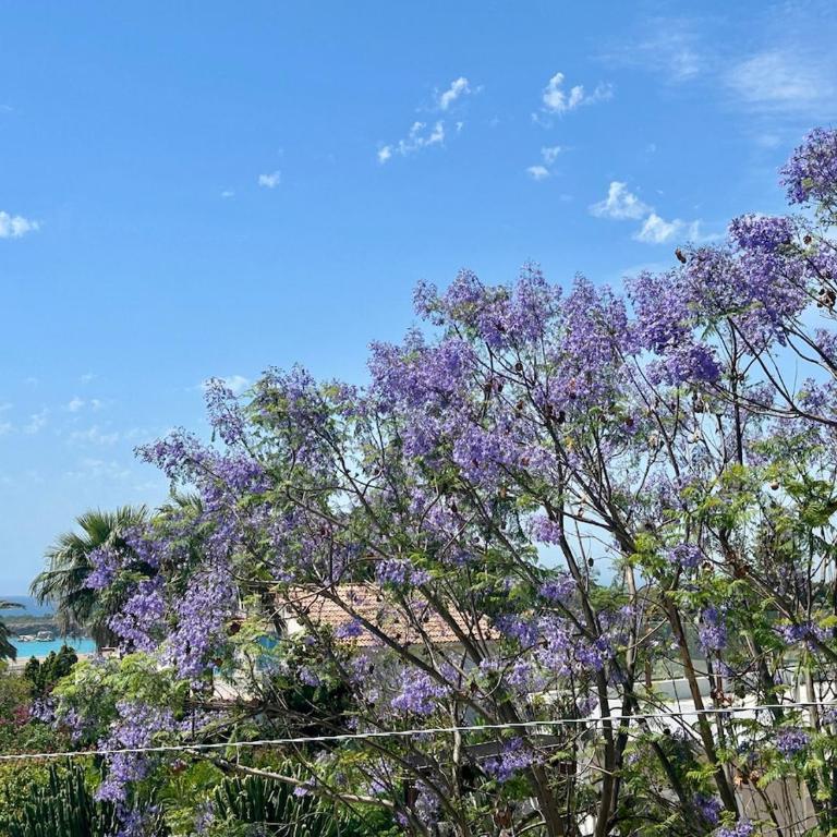 Villa Alba 400 m from Fontane Bianche Beach - Haus mit 3 Schlafzimmern - 3