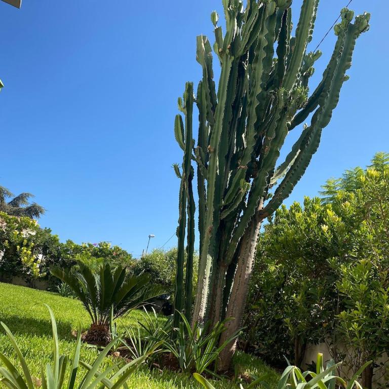 Villa Alba 400 m from Fontane Bianche Beach - Haus mit 2 Schlafzimmern - 16