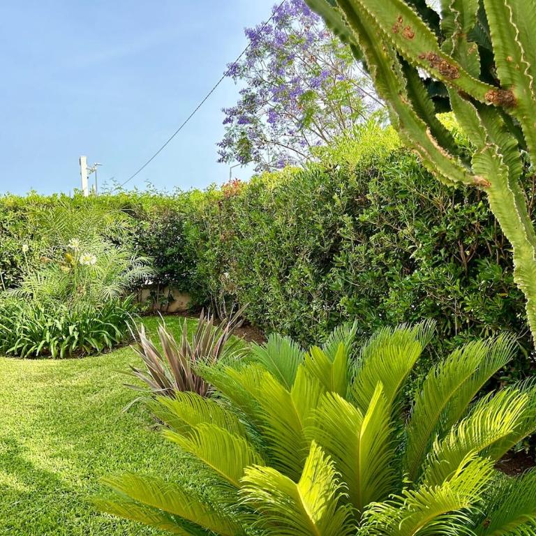 Villa Alba 400 m from Fontane Bianche Beach - Haus mit 3 Schlafzimmern - 22
