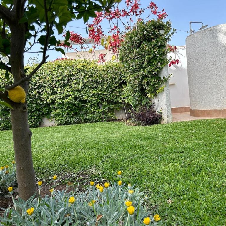 Villa Alba 400 m from Fontane Bianche Beach - Haus mit 3 Schlafzimmern - 24