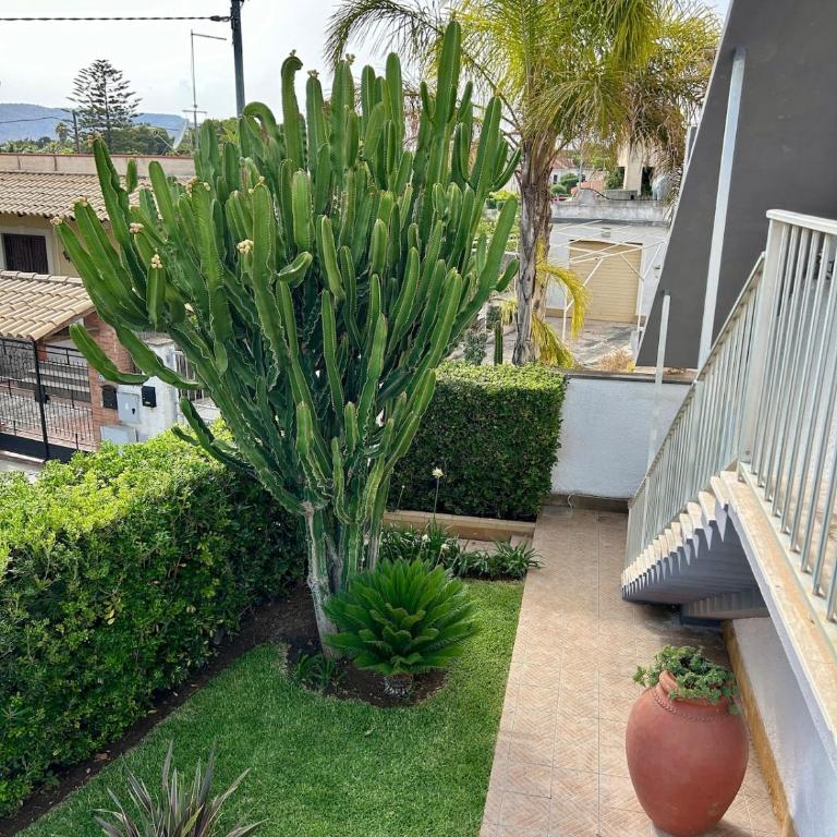 Villa Alba 400 m from Fontane Bianche Beach - Haus mit 2 Schlafzimmern - 31