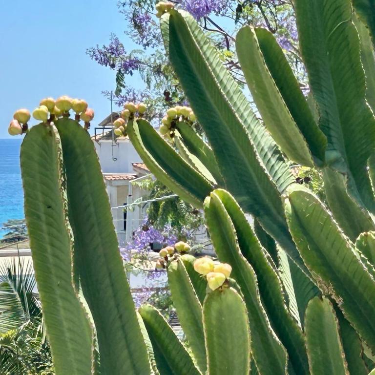 Villa Alba 400 m from Fontane Bianche Beach - Haus mit 2 Schlafzimmern - 46