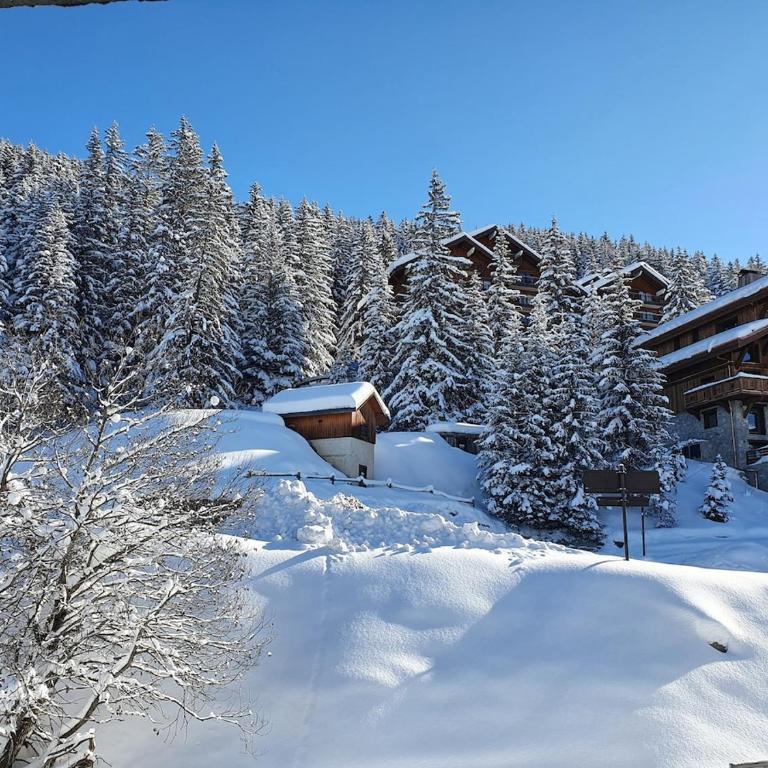 Beautiful, bright and fully equipped property in Méribel - Deluxe Apartment mit 4 Schlafzimmern - 1