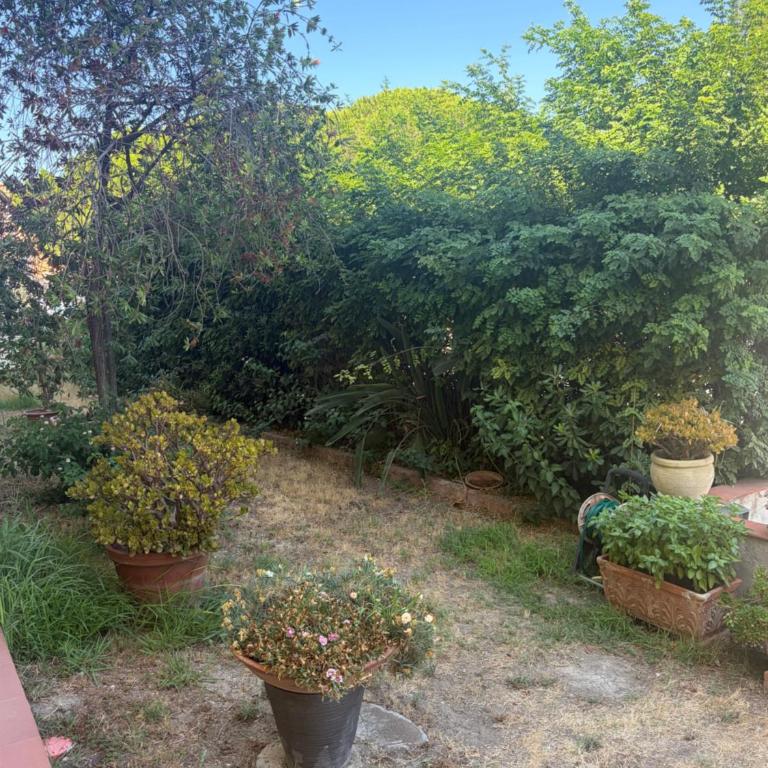 Relax in paese a due passi dalle spiagge di ghiaia bianca LIMONE - Appartement 1 Chambre - 65