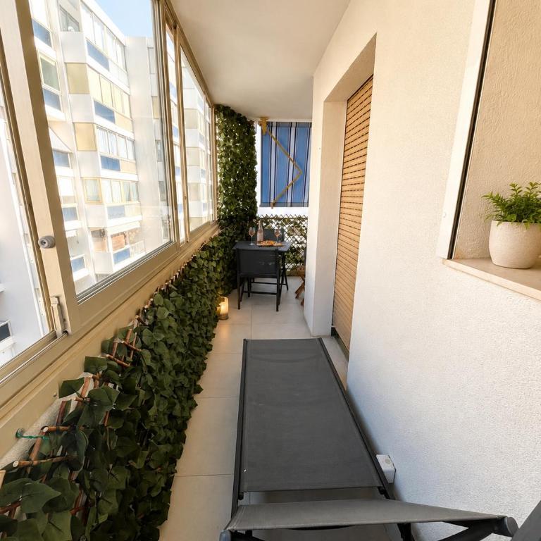 L'Hippocampe, Palm Beach, Studio, 2P, AC, Terrace - Appartement 1 Chambre - 15