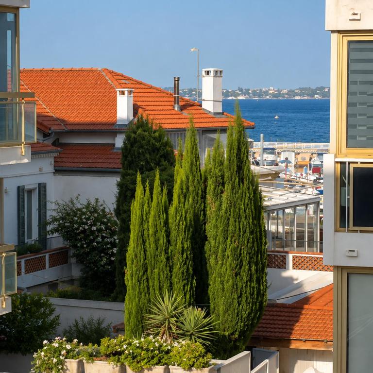 L'Hippocampe, Palm Beach, Studio, 2P, AC, Terrace - Appartement 1 Chambre - 4